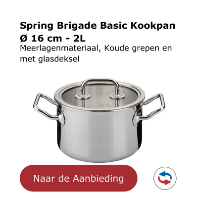 Spring Brigade Basic Kookpan  Ø 16 cm - 2L